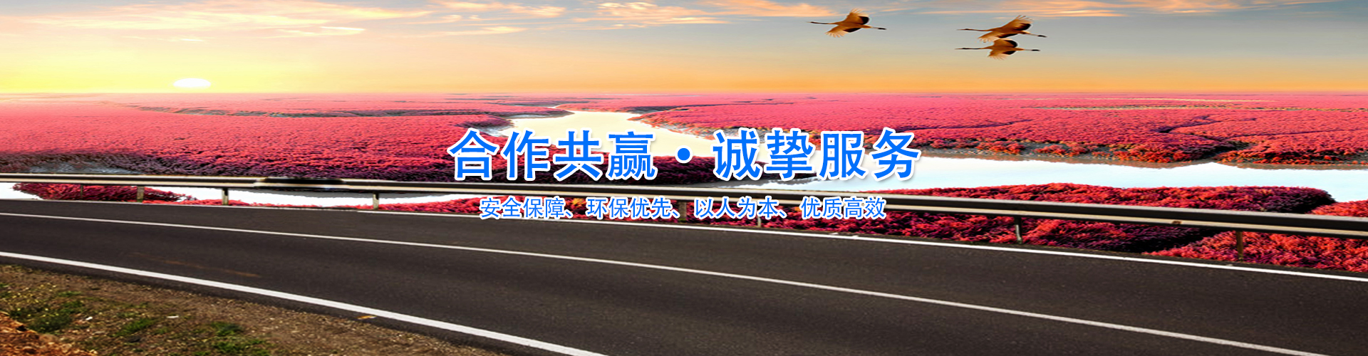 蘑菇视频免费入口