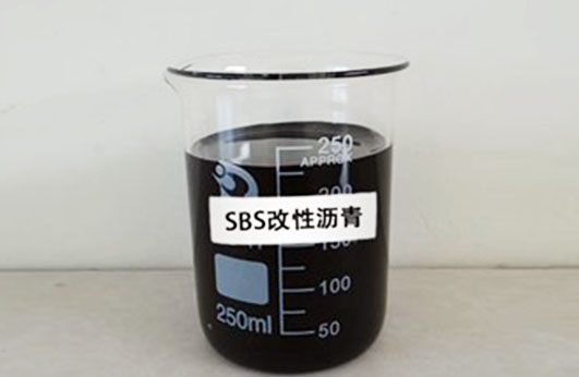SBS蘑菇网站视频